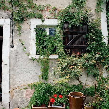 아파트 Zielono Mi, Pilchowice Wlen