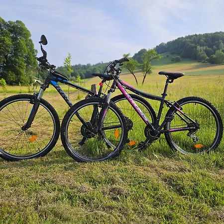 아파트 Zielono Mi, Pilchowice *