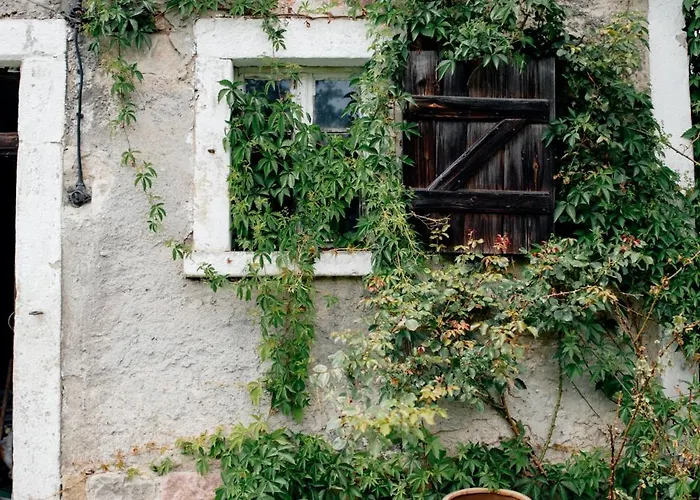 Апартаменты Zielono Mi, Pilchowice Wlen