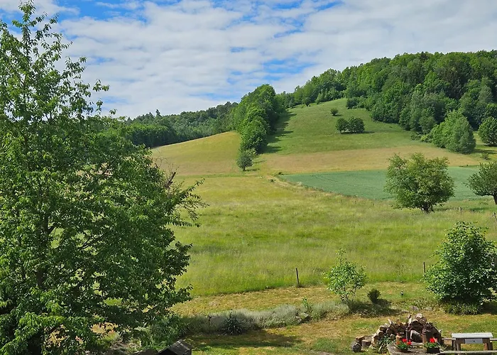 Zielono Mi, Pilchowice